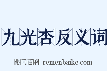 九光杏反义词是什么意思的图片